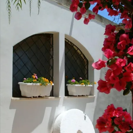 In Bb - Spacious Triple In Ancient Masseria Near The Sea In A Quiet Olive Trees *