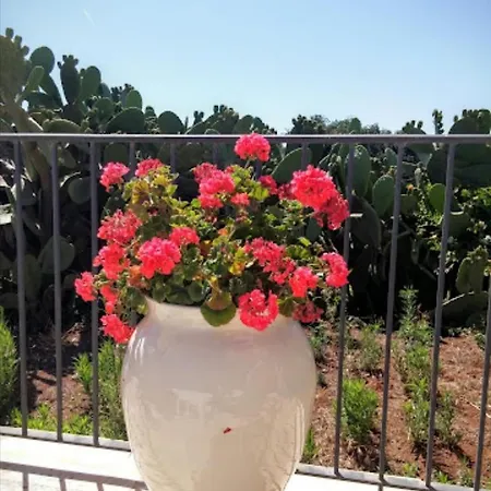 In Bb - Spacious Triple In Ancient Masseria Near The Sea In A Quiet Olive Trees Ostuni